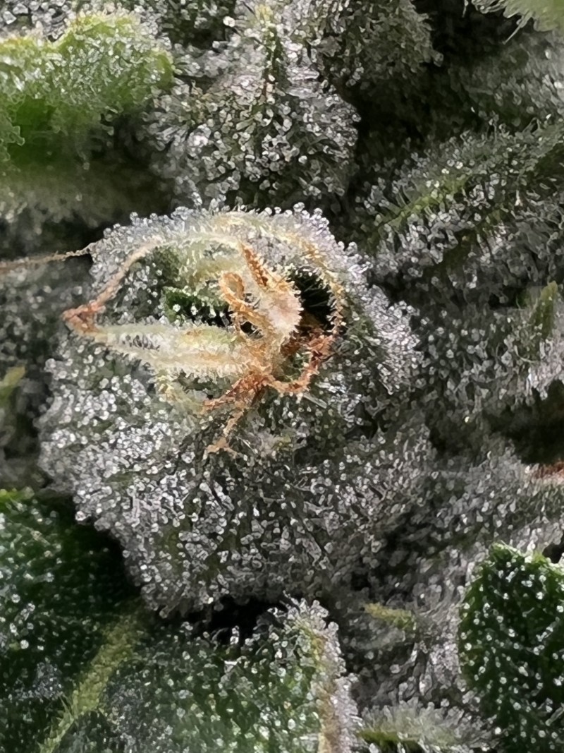 C931C774-3CD7-400C-9464-3DBF54E62A2E