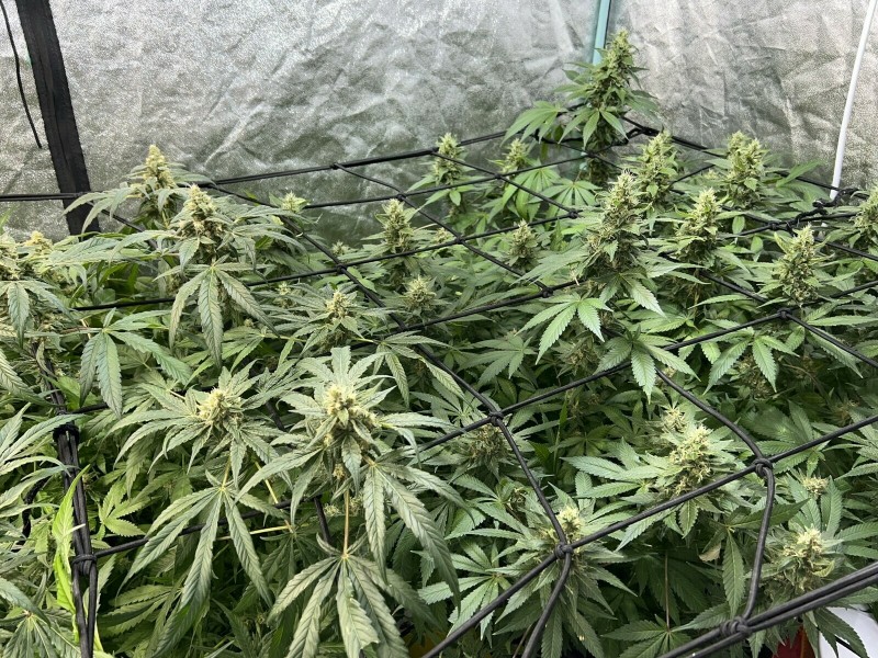 94F36EB4-A57B-42BF-8E81-E5C645BAF5E2