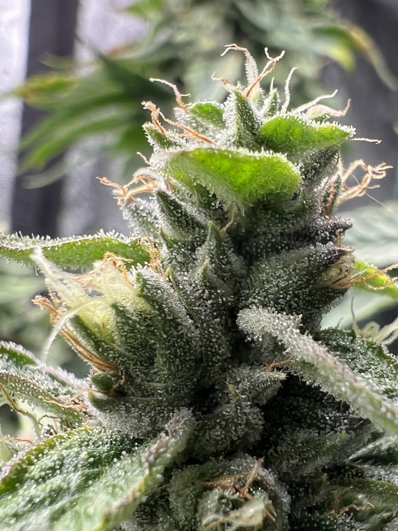 8483C8EC-DD89-40AD-8B9D-53D5D4AA10DC