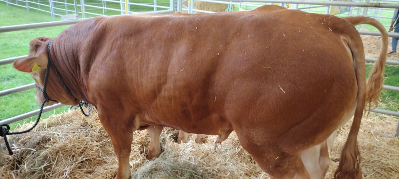 IMG_20220722_112445500