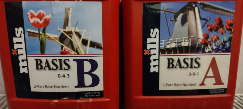 IMG_20220730_190601658_HDR