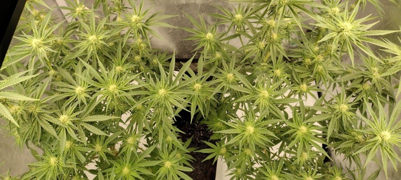 IMG_20220801_101942028_HDR