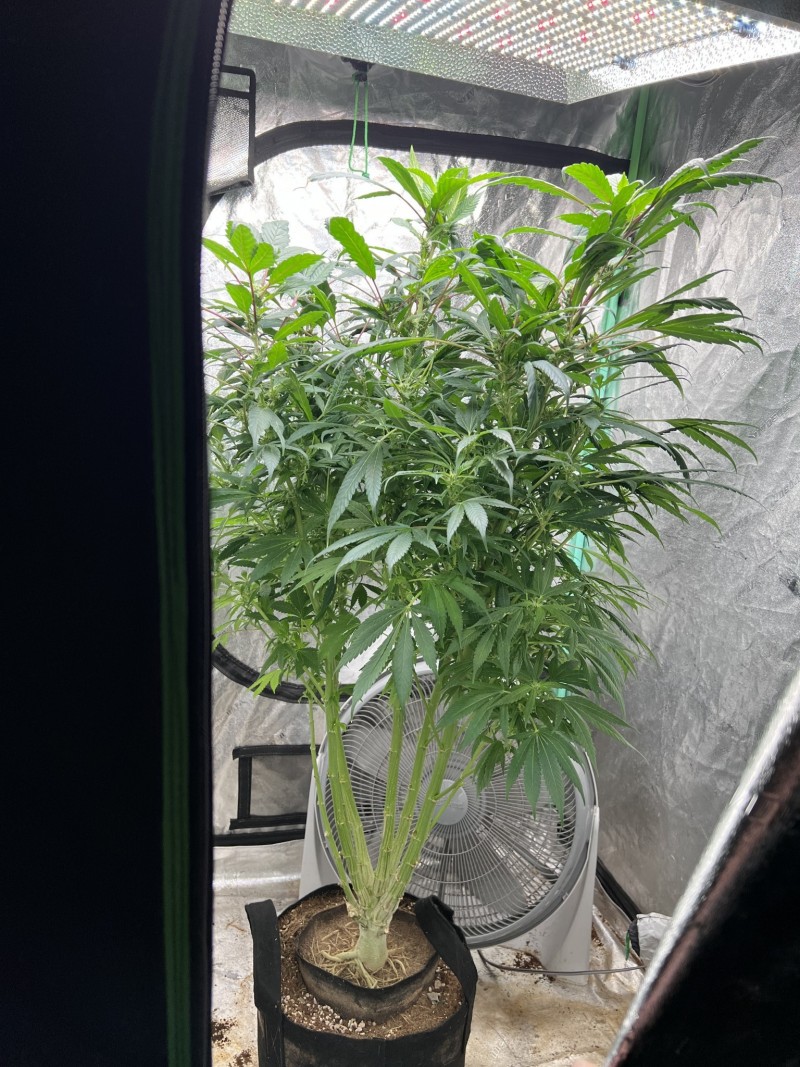 6571D190-F249-4DCE-9419-B59AEB720F6A