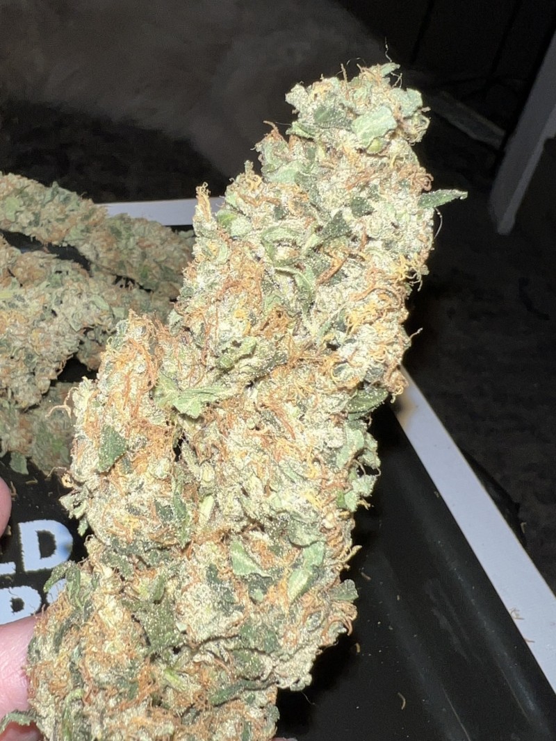 18B30BA1-7D19-47A8-99C8-4EEED7D60E08