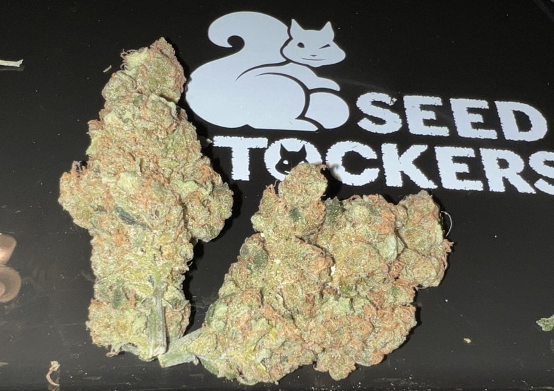 E869083C-B801-4ED7-A19D-C77758A6B02A