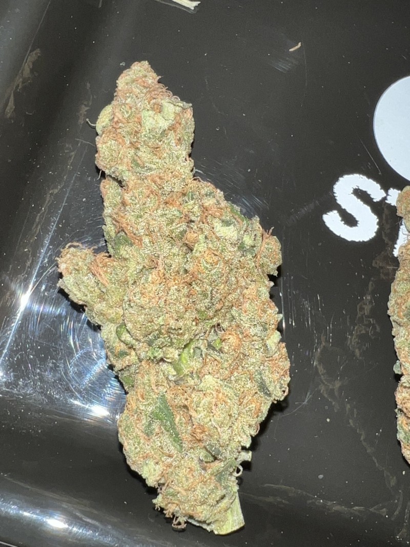 4DB8BC90-09C4-4AF4-9F94-337FE4760DEA