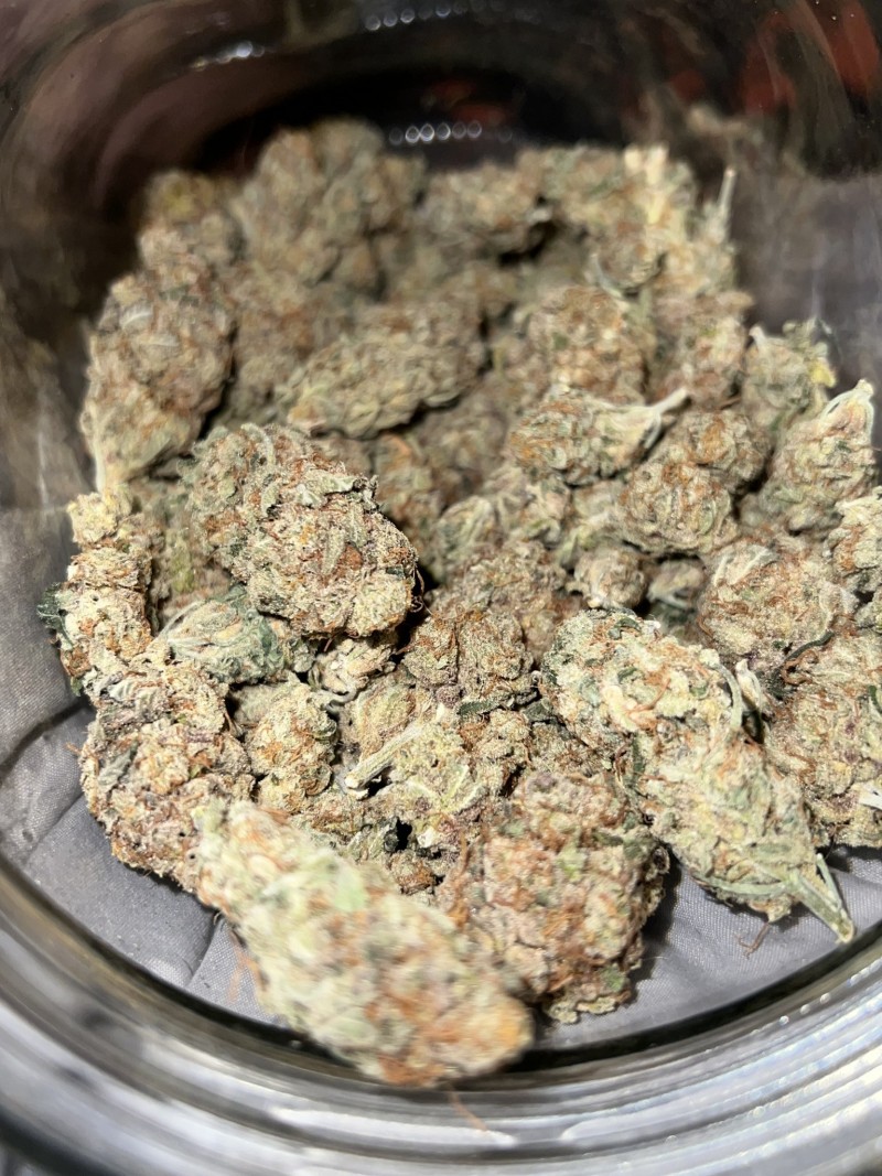 DA98801D-C9CA-4D0D-8BAA-DC7061740D0F