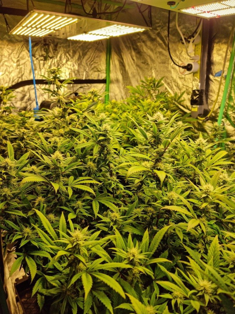 week 3