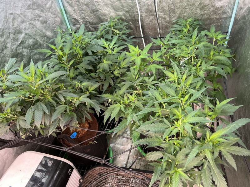 9A1BCFBB-3B4B-4E4B-A2EA-EA9C8309FD2B