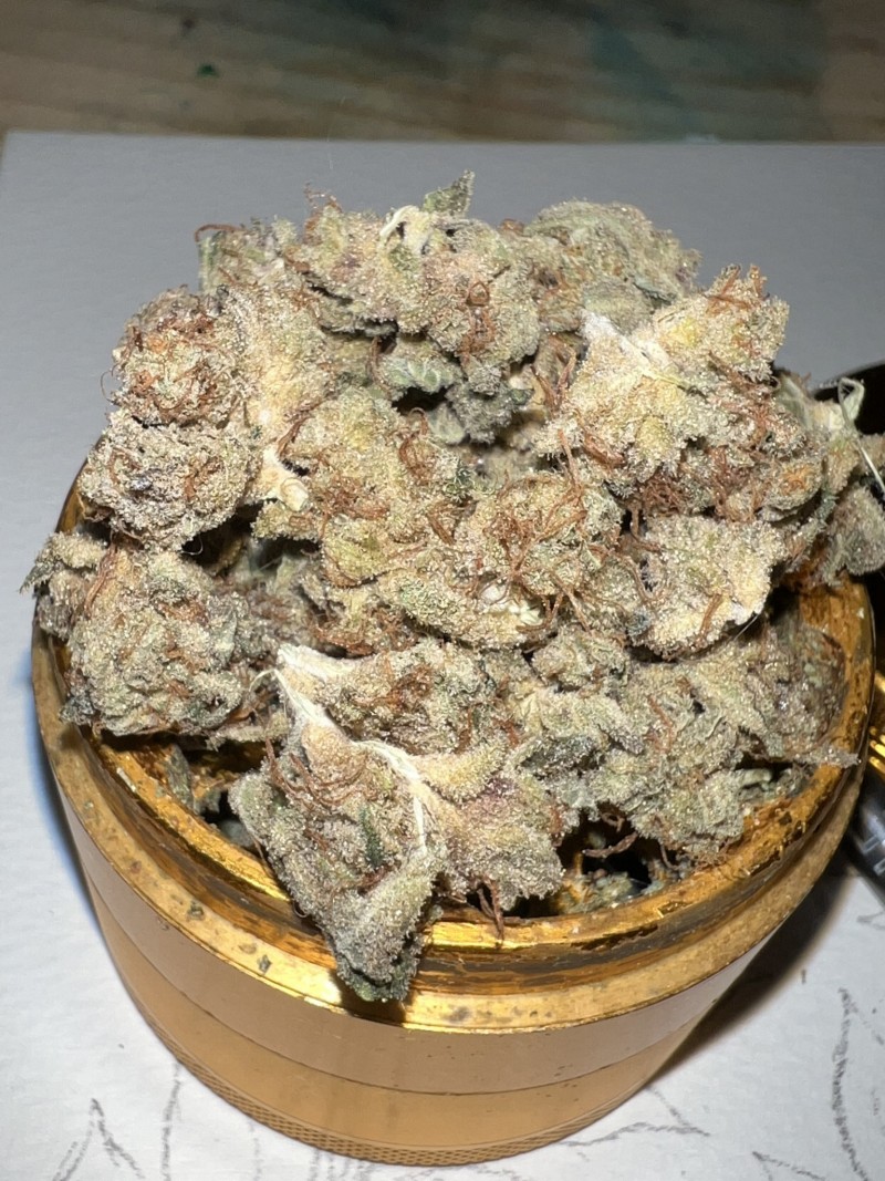 1256B74C-C4D8-40AF-B855-1C7CB1E7D2CB