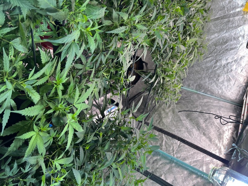 FF847FF0-0ACF-4389-B76C-223C7501F5D5