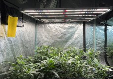 C7AF3483-7E42-4140-B268-FCFE2C76E886