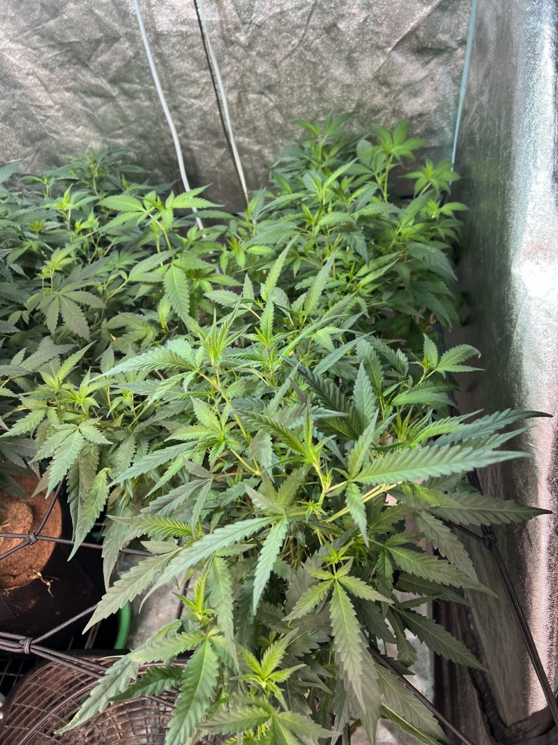 E0705162-B45A-4FC6-89B2-89DC577D720E