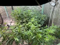 BEBE641E-6C21-402D-8D3C-EC9BD2B2DAB1