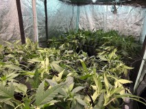 64B0381E-ECF6-4741-920C-9046A220E5AB