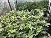 A8C16AEC-B882-47BF-917A-A236DB6EDEED