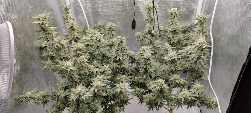 IMG_20220821_101705853_HDR