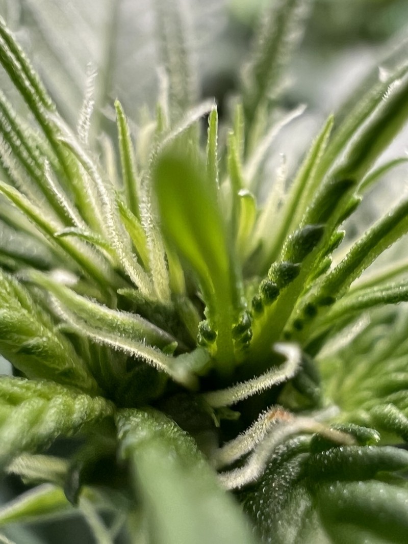 A214DA39-0C64-4DD2-8A84-AF1C446DA530