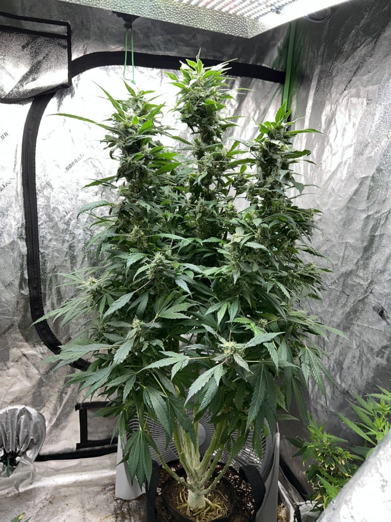 EB4BFE96-0D32-42E9-BE11-062B28D18929