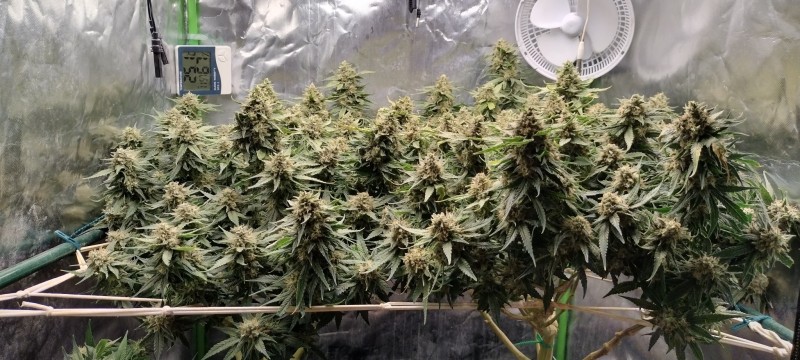 IMG_20220823_195834670_HDR