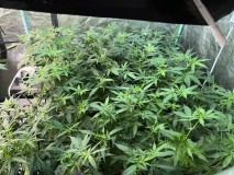 9DD1FAA3-3EC3-4BF2-B3A4-8B2E78400EDA