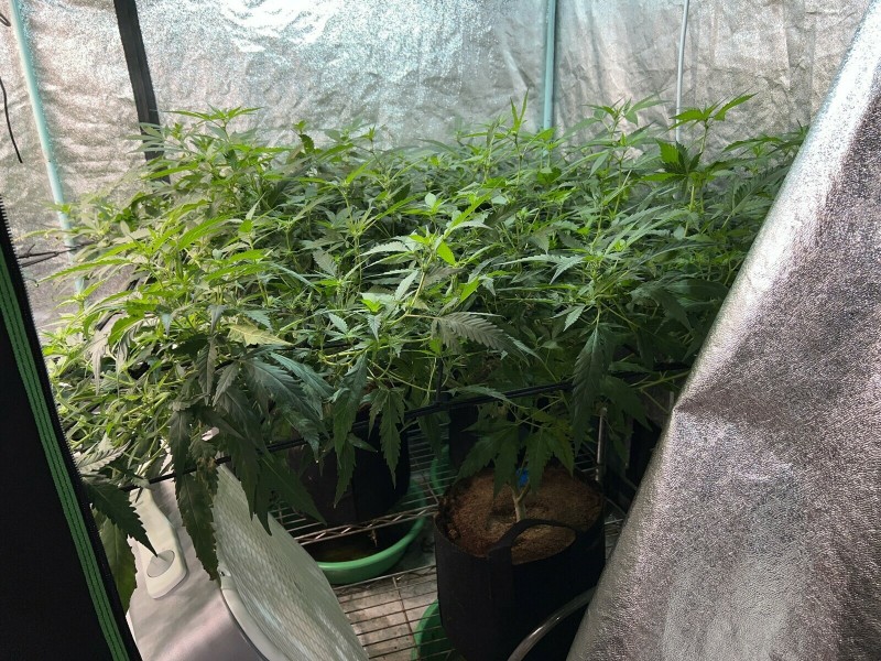 F55353EB-950D-4499-9BFD-9354C96EDE6F