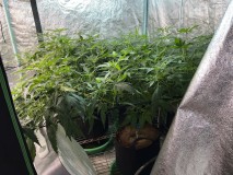 F55353EB-950D-4499-9BFD-9354C96EDE6F