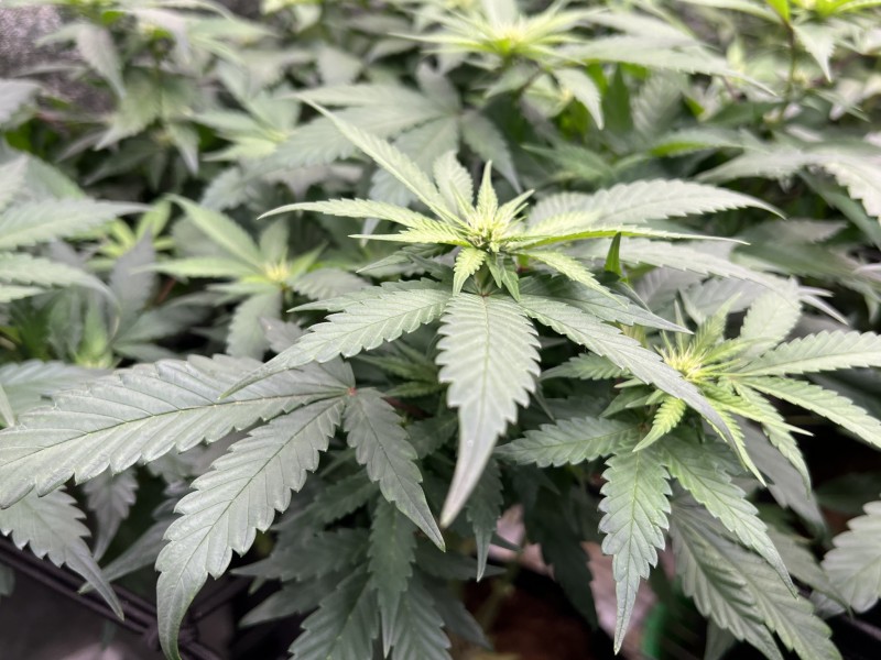 483C3CE2-8A29-487C-9F09-A07DD9DB0F86