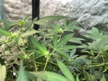 C12D260B-1F8A-4201-A270-7230D842250E