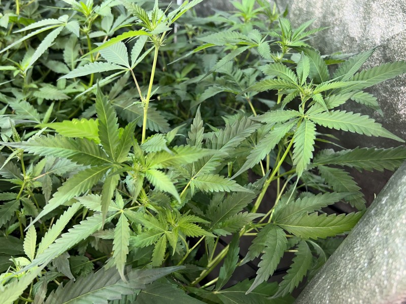 2EE98AE5-6C17-47DC-8EF3-F789E4DB0F8B