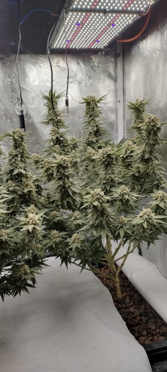 IMG_20220824_200134583_HDR