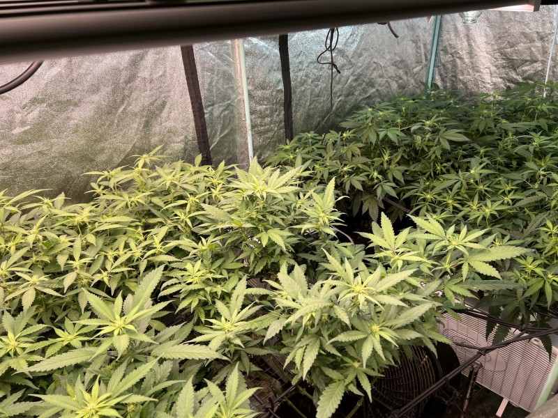 93B89BD3-9650-48C5-8E6E-CEA6F9A388B6