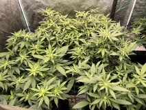 3AC42839-7F27-4E49-A153-733C24392DA3