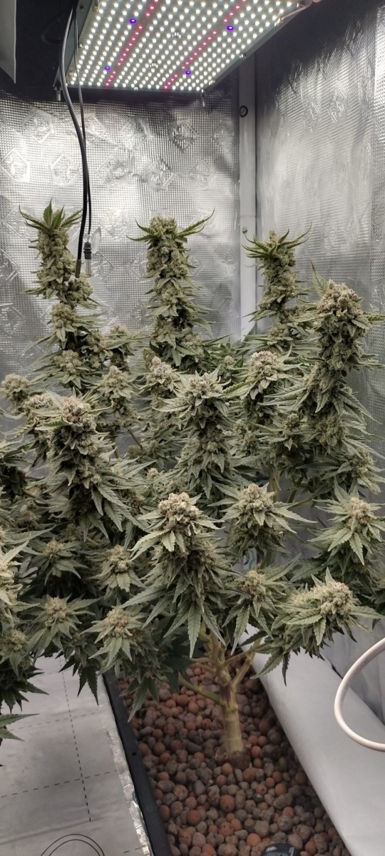 IMG_20220829_102525885_HDR