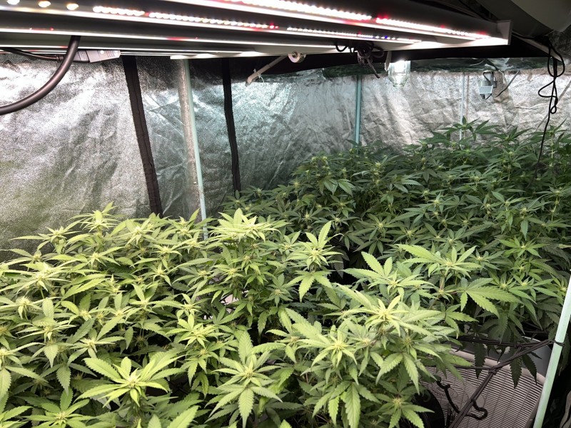 AE1A6B68-944E-4884-AF4A-D7C008FEDAE0