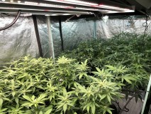 AE1A6B68-944E-4884-AF4A-D7C008FEDAE0