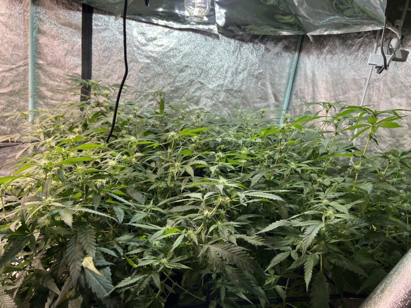 BDA27970-1970-420C-A2DF-A5CD14E147B3