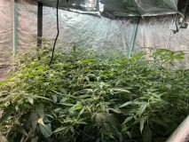 BDA27970-1970-420C-A2DF-A5CD14E147B3