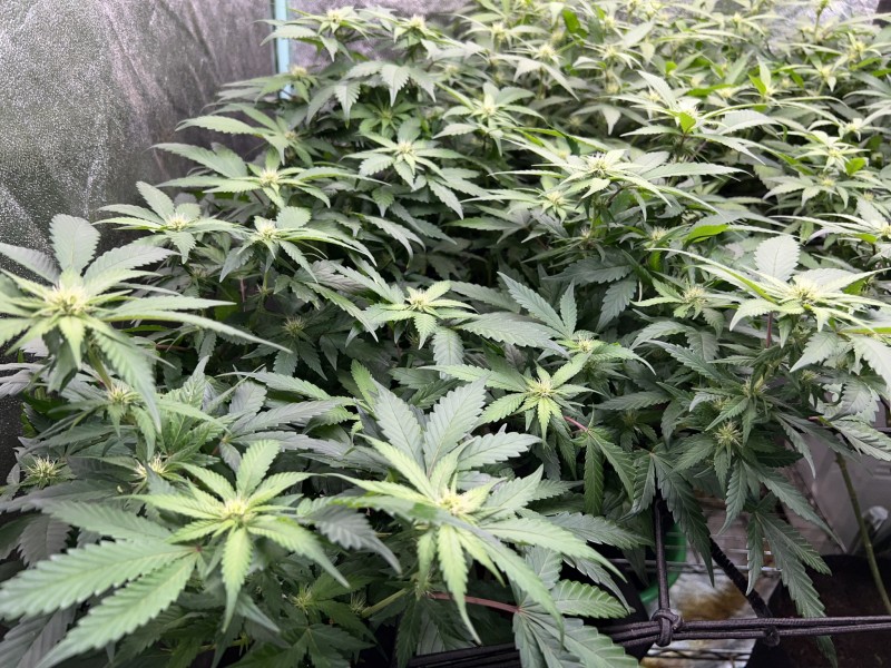 07F9CA92-EB4A-4098-BCE2-698755886069