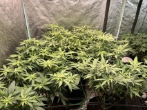 DEBED7EA-35EB-4A07-BF3B-ADAF4ABA2B1E