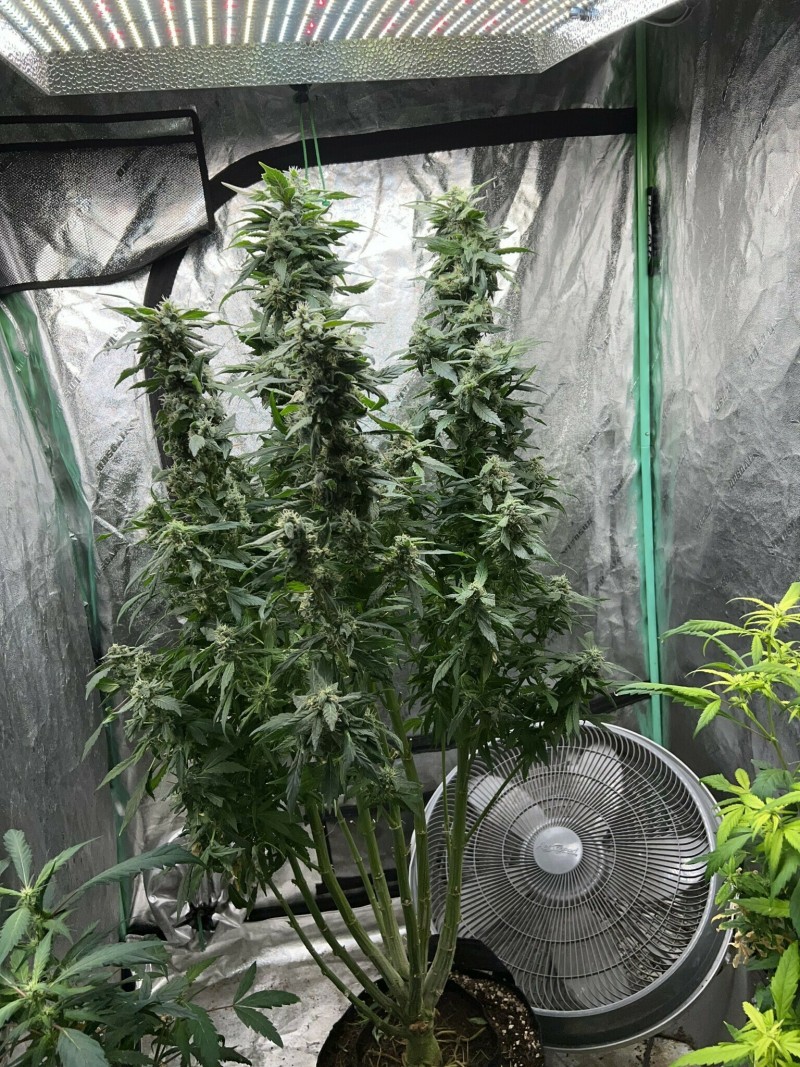 DC624A0A-8EBB-44B4-AA6F-DB948B441375