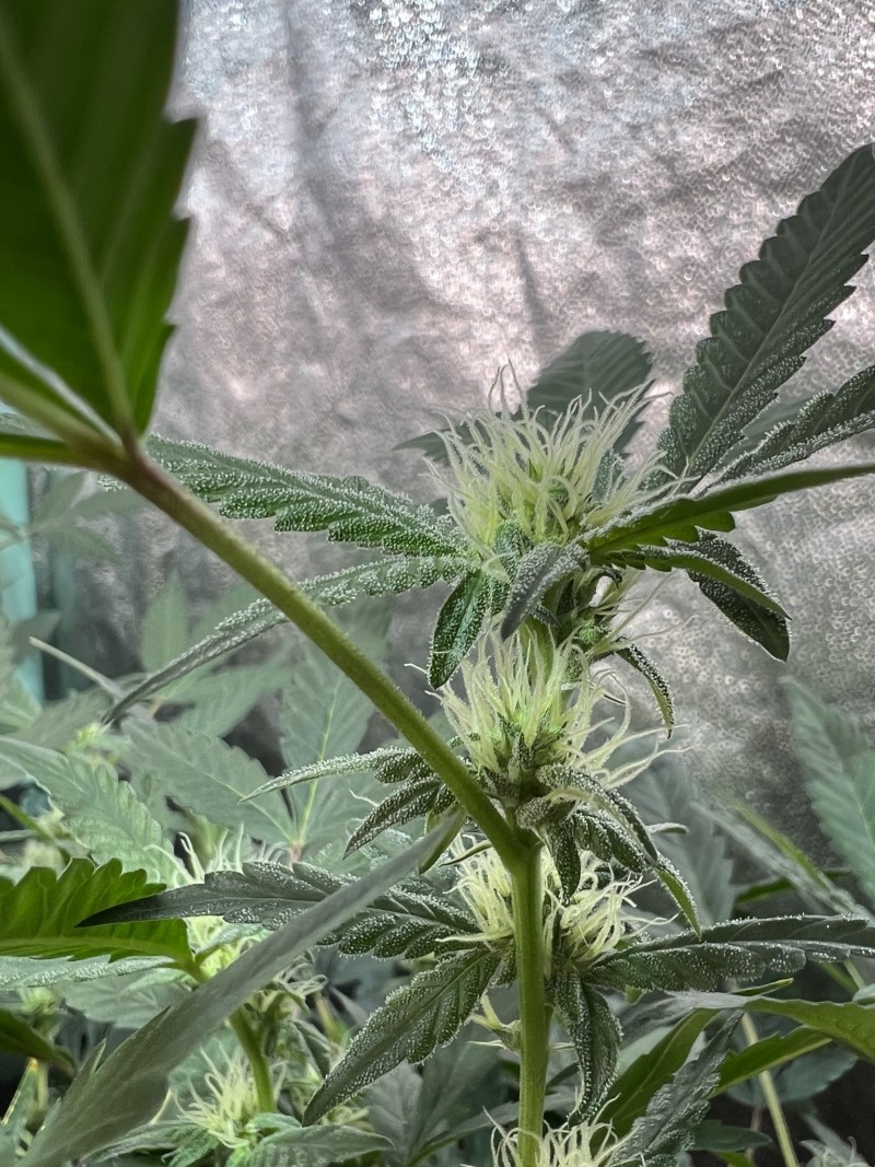 765DFD75-48B1-42BE-A23B-CD120D0798E5