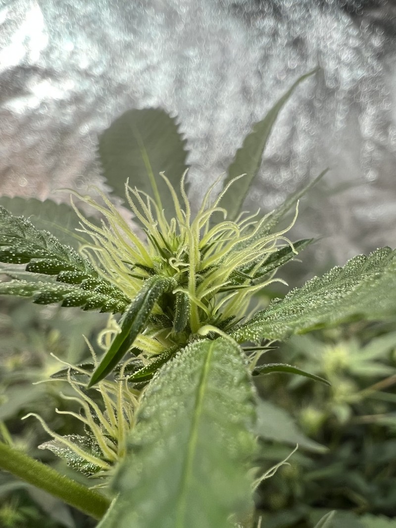 B4ABC650-81AA-4425-8226-ADBA5EC382B3