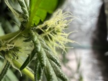 CD204DFC-F7AC-456B-8585-657473B2373A