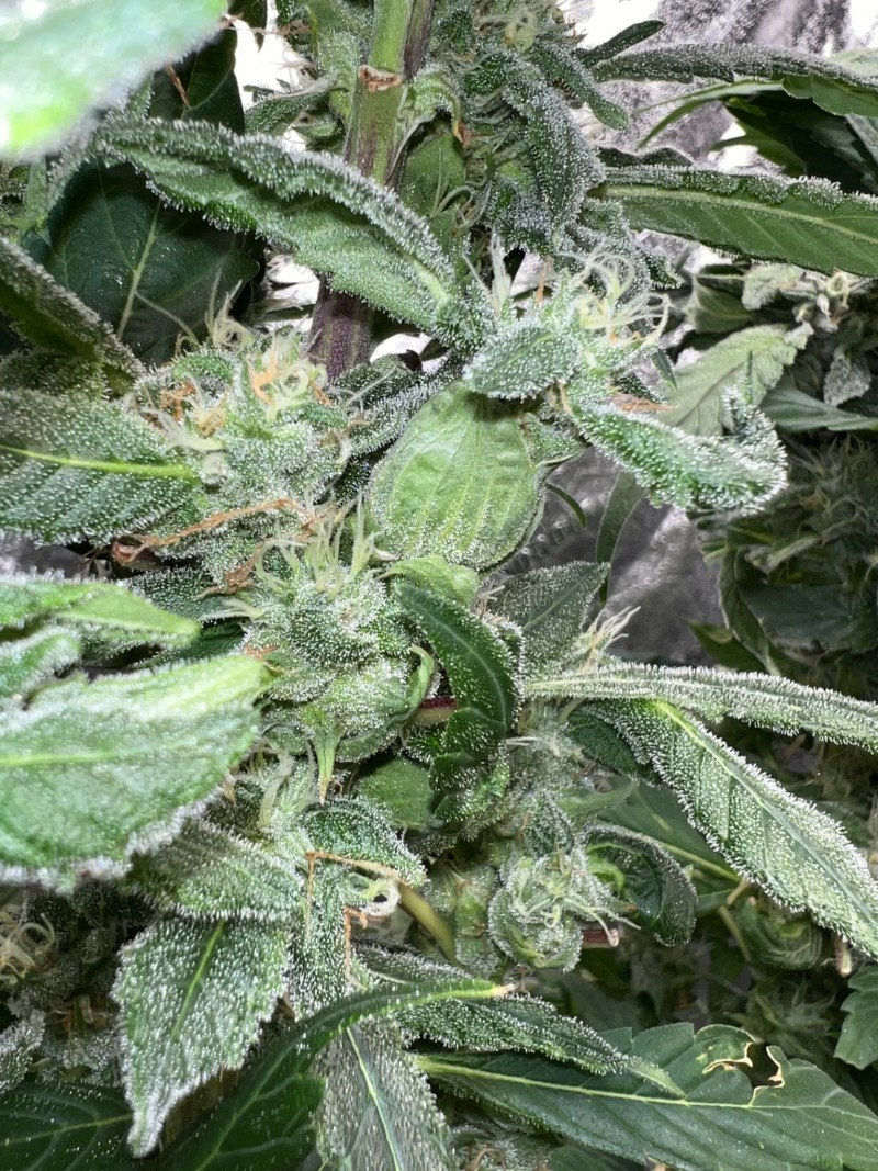 CE5ACDCE-7AAD-4348-8EA4-0CA0BB0E7360