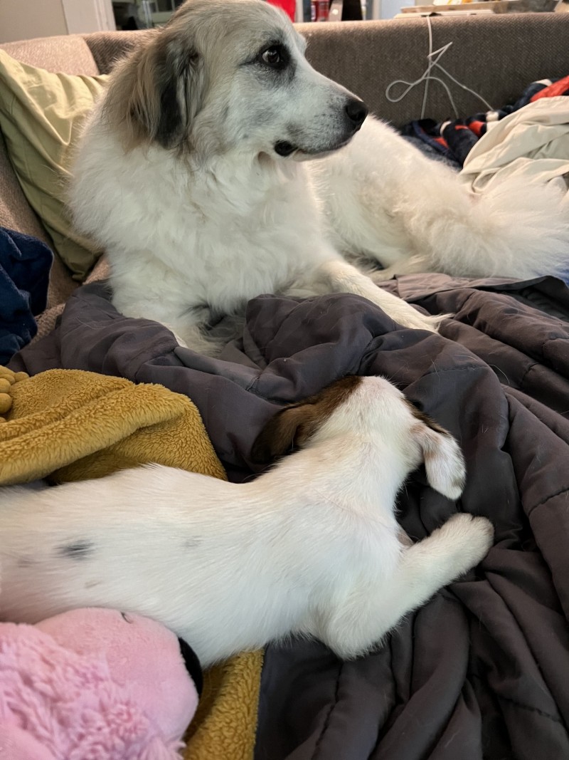 68D729FE-6A49-44BC-A116-DFD9CBC206DE