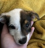 12B6D731-18C0-4283-AD7D-7C2CE678E1B0