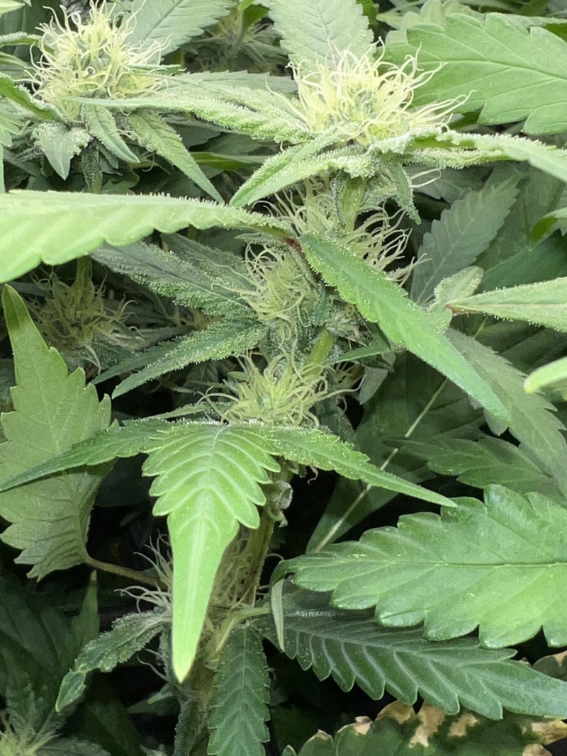 24E34AD5-3306-4ED2-A1CD-101C5126A458