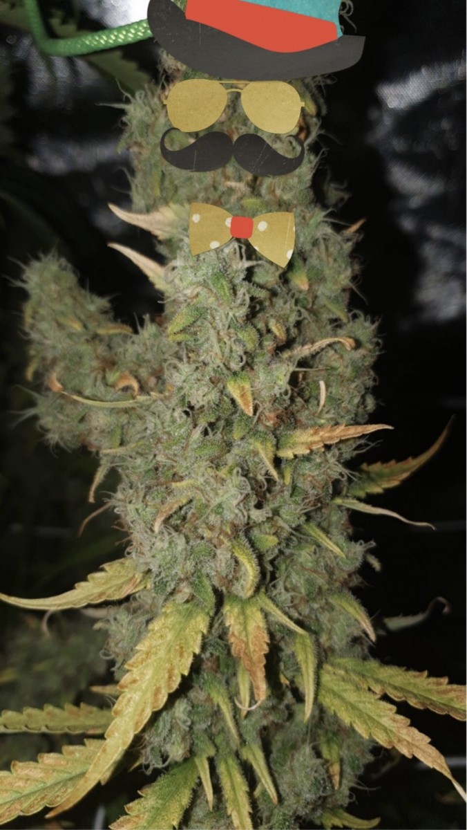 4EAF2E45-BCCC-43BE-9683-AB031D6D66D3