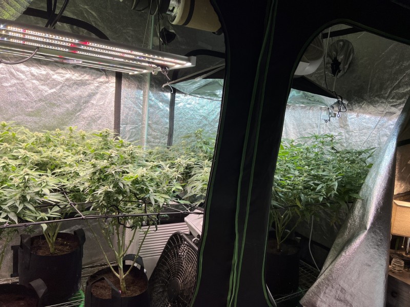 E8436BF2-FC6C-46BF-ABDF-B3BBEBE28E3E